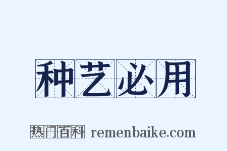 种艺必用是什么意思的图片